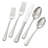Alcea 53 Piece Flatware Set Polished