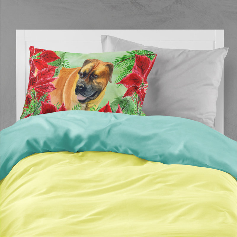 Microfiber, Boerboel Mastiff