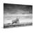 Wildlife 'Elephant' Print by Parvez Taj-14233163-24267814