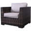 Burlison Premium All-Weather Wicker Outdoor Lounge Chair