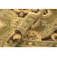 Tapis oriental jaune / brun en laine noué à la main 4 pi 2 po x 6 pi 8 po Oriental