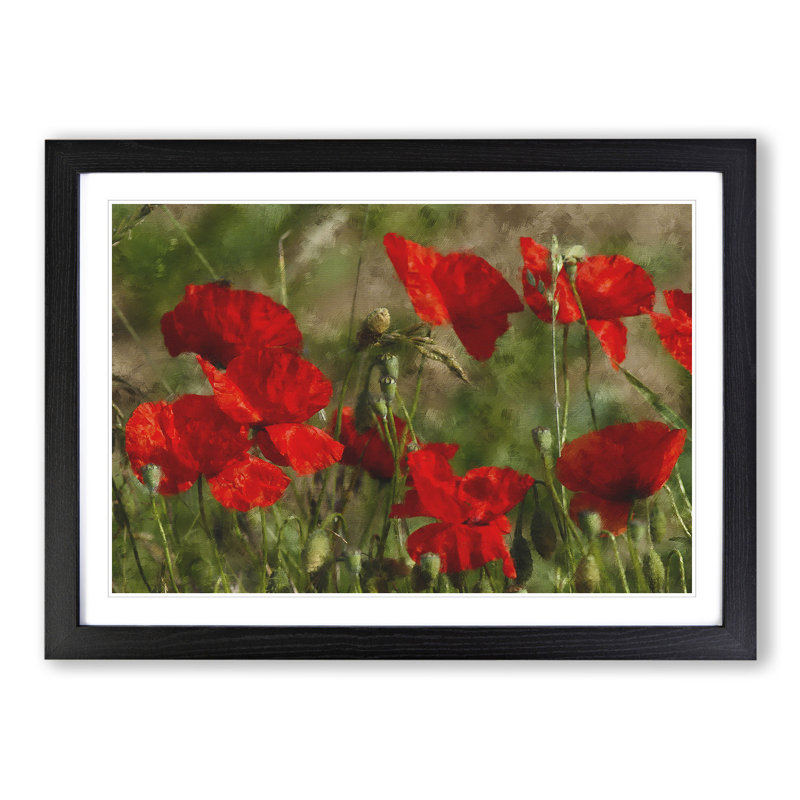 Field of Poppies Vol.7 - Framed Print, Black Framed, 36cm H x 48cm W x 2cm D