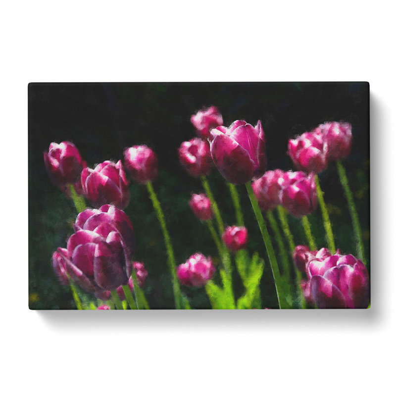 Pink Tulip Flowers - Wrapped Canvas Print, 40cm H x 60cm W x 3cm D