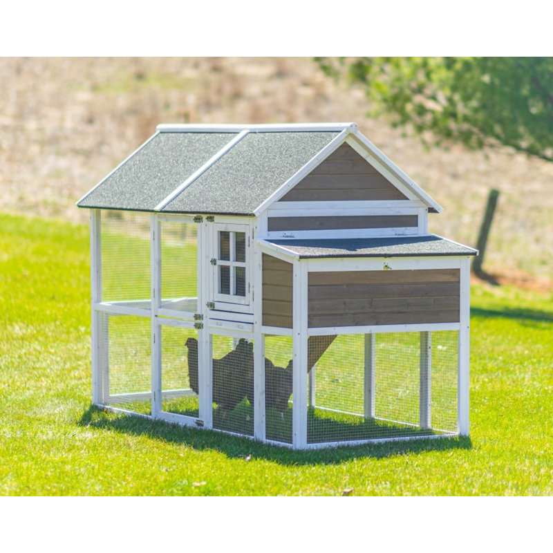 15.8 Square Feet with Chicken Run