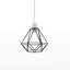 13cm H Metal Novelty Pendant Shade ( Screw On ) in Black