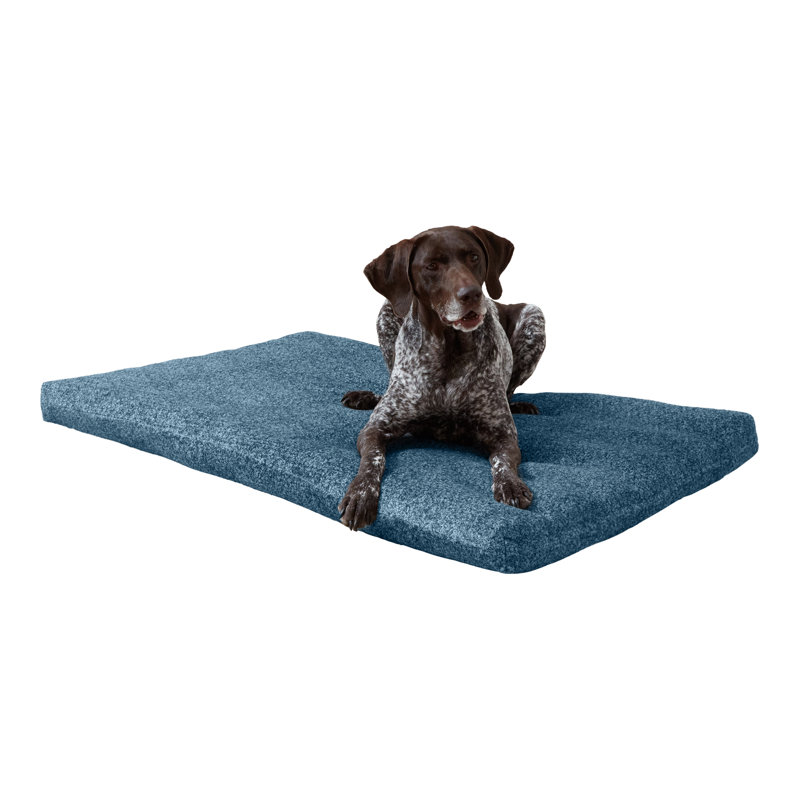 Tapis de caisse pour chien Sadie Deluxe, Très grand, Océan