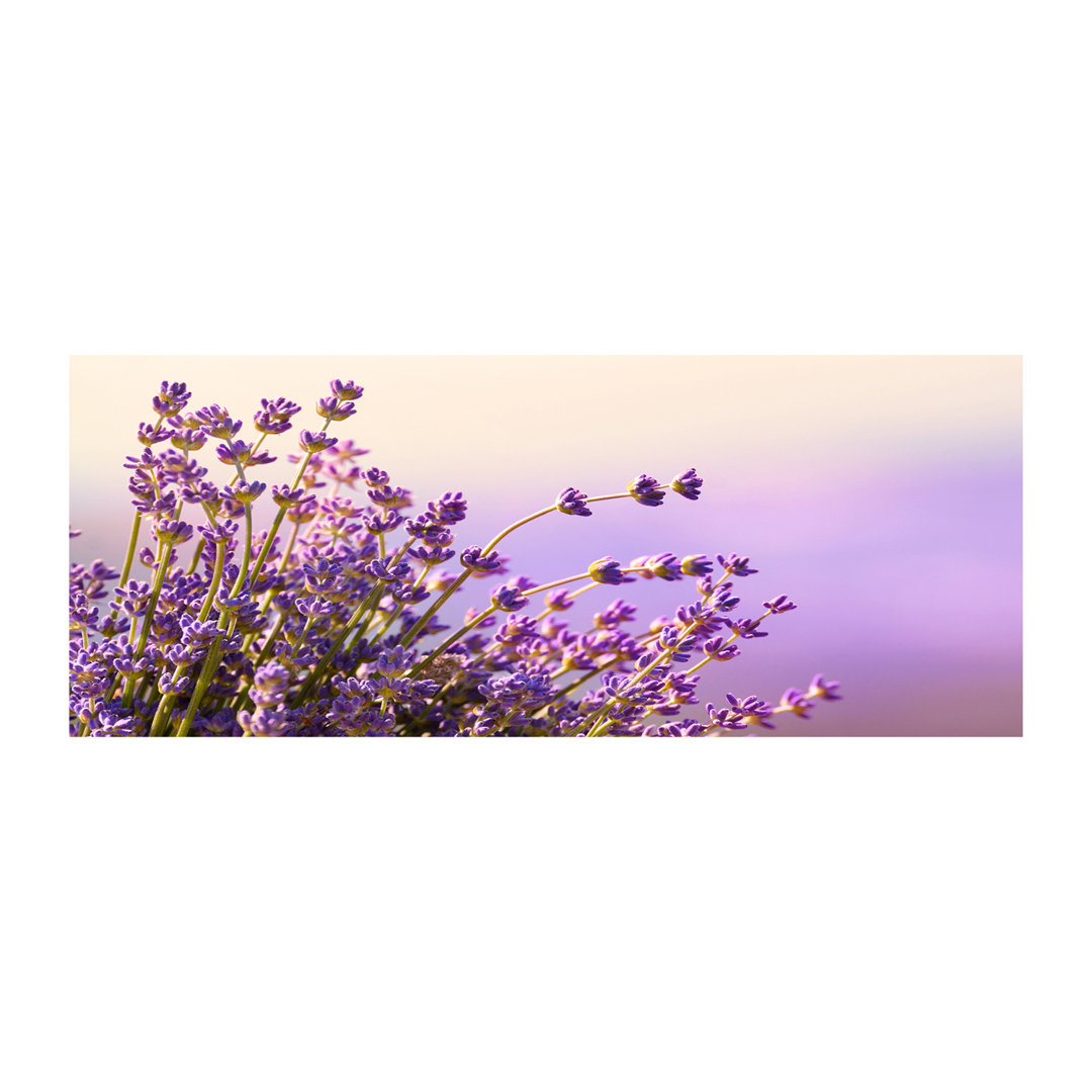 Lavendel - Ungerahmte Fotografie auf Leinwand