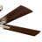 Lija 52'' Ceiling Fan with LED Lights-1542027797