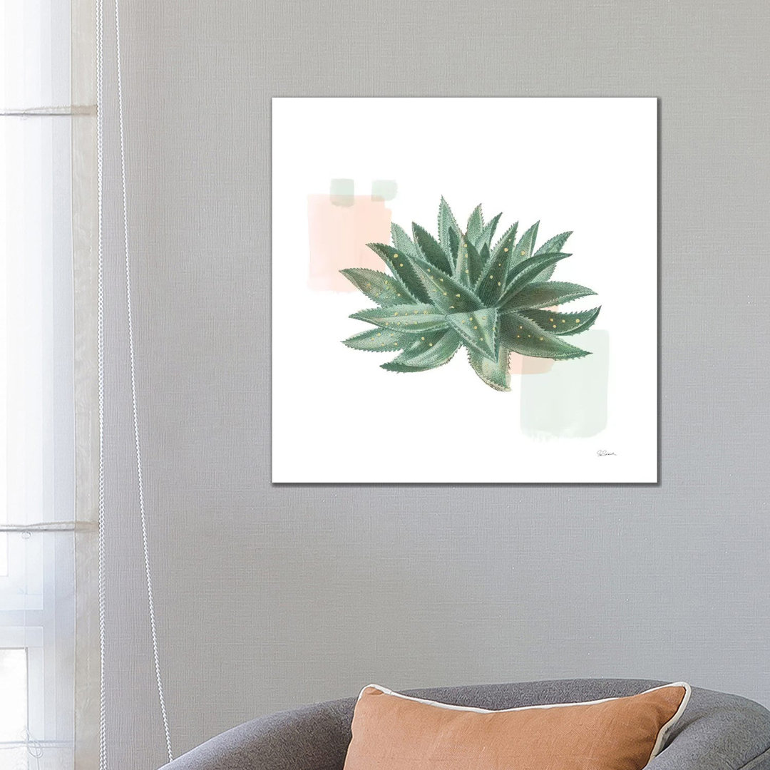 Desert Color Succulent II Mint von Sue Schlabach - Galerie-umwickelte Leinwand Giclée auf Leinwand