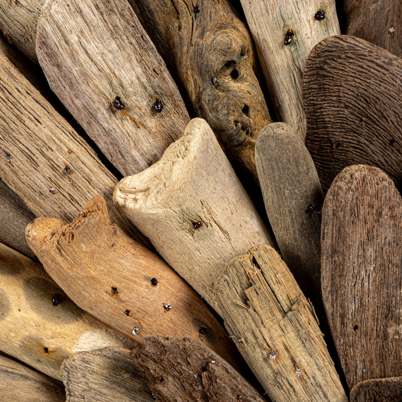 Round Driftwood Wall Décor