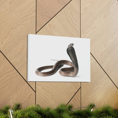 Cobra Hunting Cobra on Hunt Print Animal Wall Art
