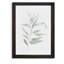 « ethereal eucalyptus ii »-impression du cadre sur verre-316484354-316484413