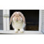 2-Tier Wooden Rabbit Hutch Guinea Pig House Pet Cage Outdoor with Tray Ramp
