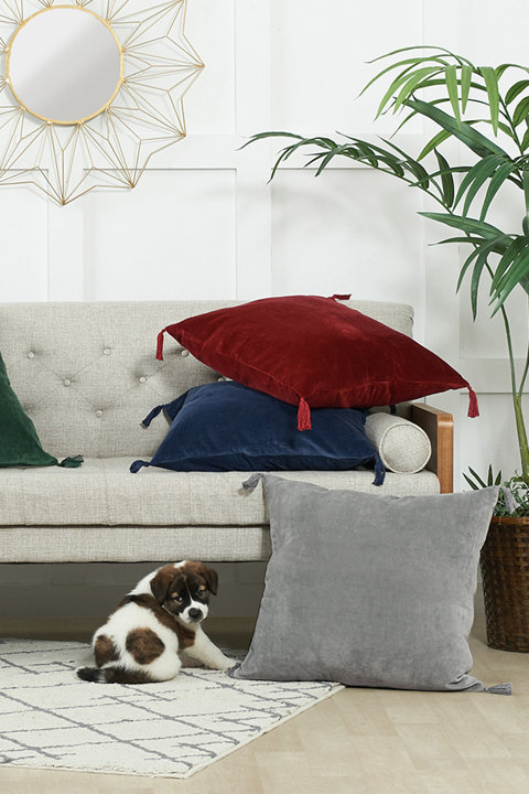 Decorative Pillows