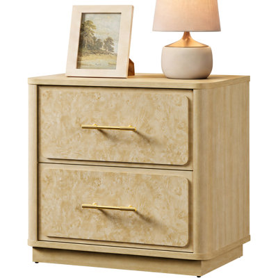 
Lysia Modern 2-Drawer Nightstand with Storage, Wood Bedside Table with Burl Wood Finish & Gold Handles
