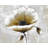 Modern Beige Flower Botanical White Polyester Placemat