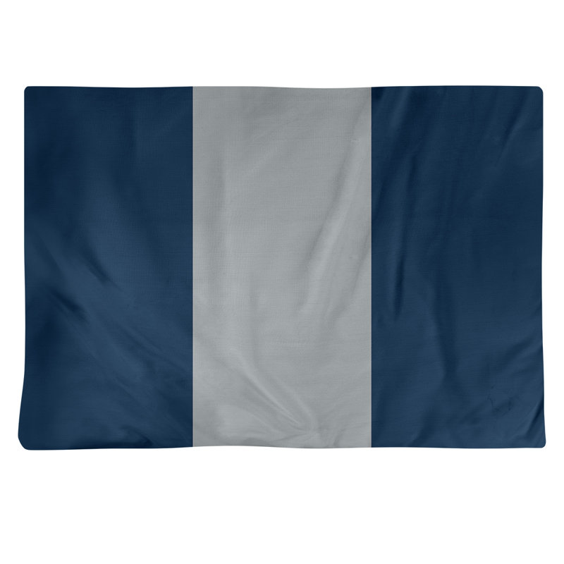 Récapitulatif en coton 18" retour football Seattle, Bleu / Gris
