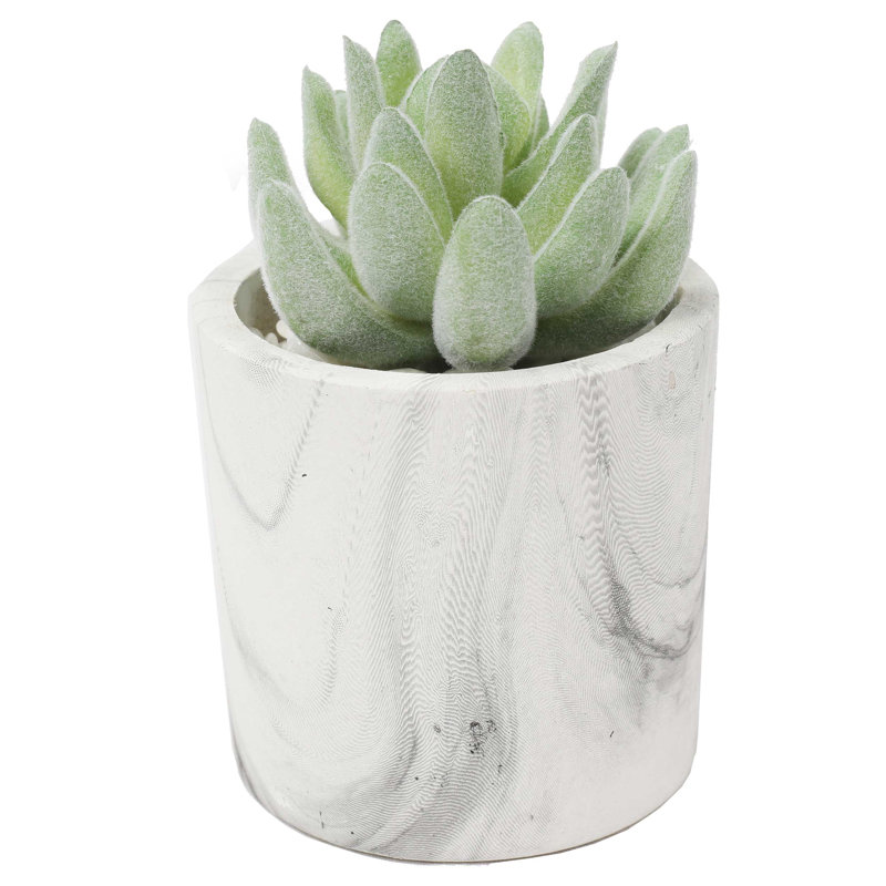 4.75'' Faux Succulent in Fake Marble Pot