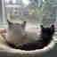 Customer photo 3 of 3