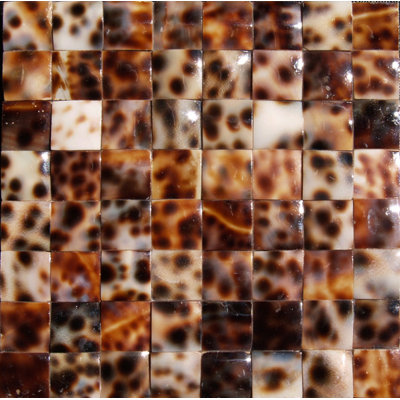 Carreau de mosaïque murale en coquillage 0,5 "x 0,5" SeaTile