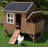 Analisia 12.4 Square Feet Chicken Coop with Nesting Box For Up To 3 Chickens