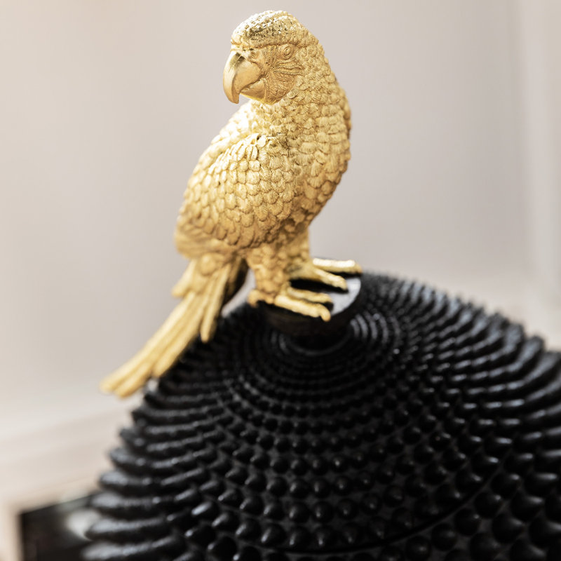 Deco Box Parrot