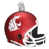 Washington State University