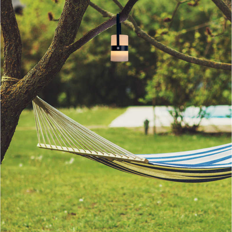 Lynnesha 28cm Battery Powered Integrated LED Outdoor Lantern, Blue