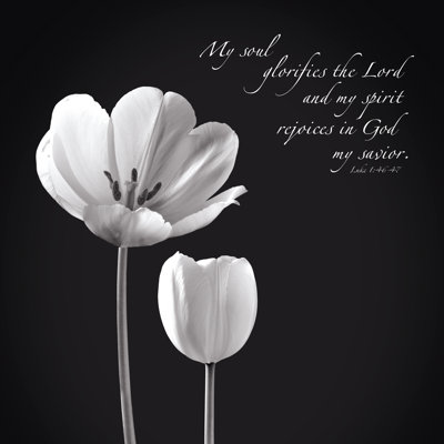 My Soul - Wrapped Canvas Print