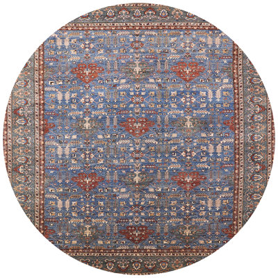 Oriental Indoor Rug