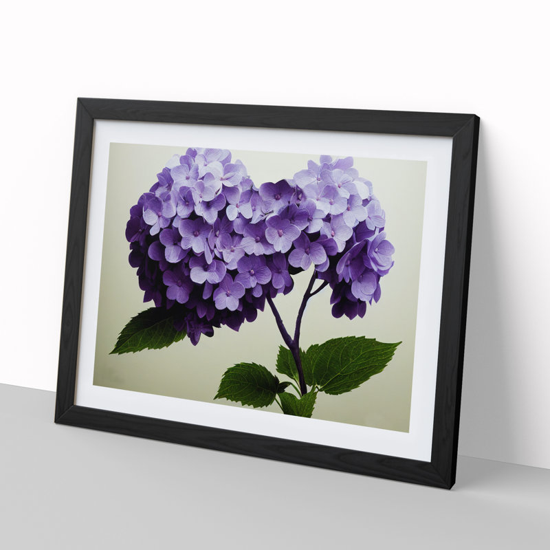 Hydrangea Flowers Vol.1 - Single Picture Frame Print, 25cm H x 34cm W x 2cm D, Black
