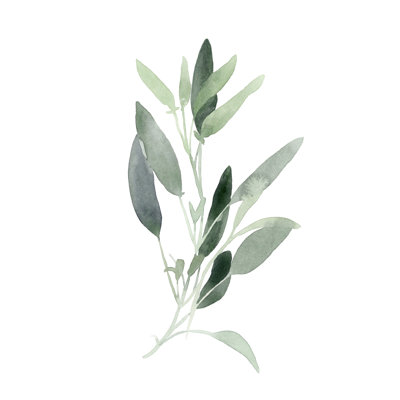 Simple sauge III