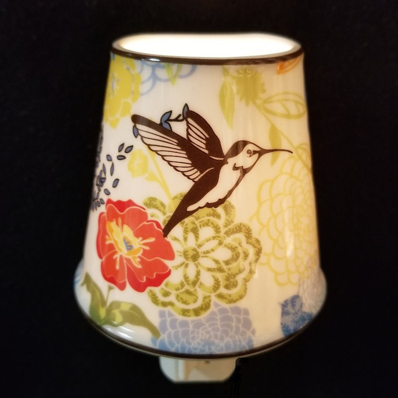 Fin de nuit hummingbird