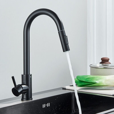 Belfry Kitchen Veschi Pull Out Kitchen Faucet