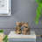 Set of 2, 4.3x4x6" Elephant Bookends