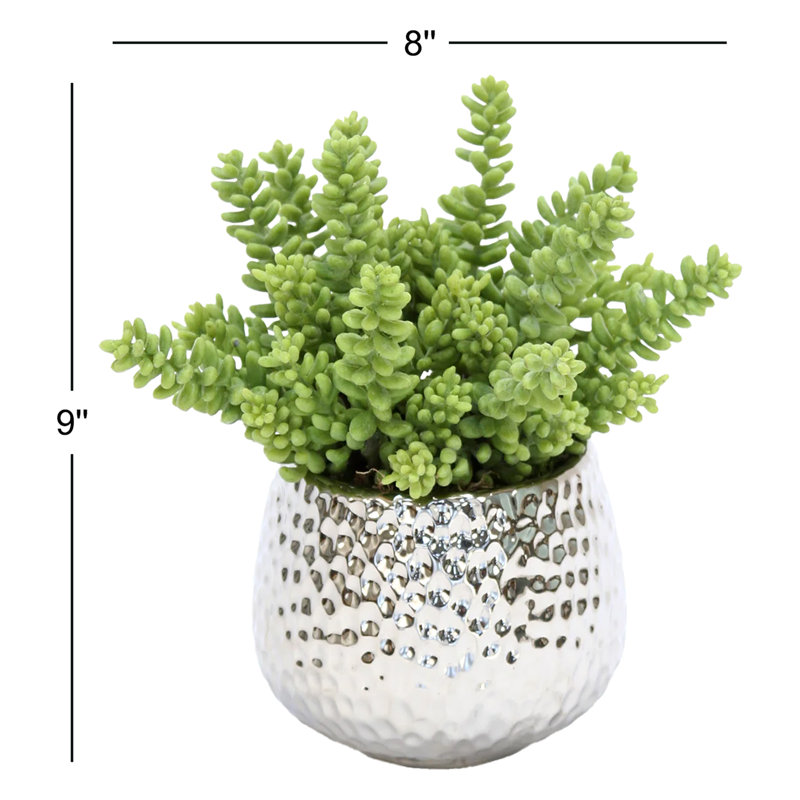 8'' Faux Succulent in Porcelain Pot