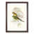 Walnut Framed selected