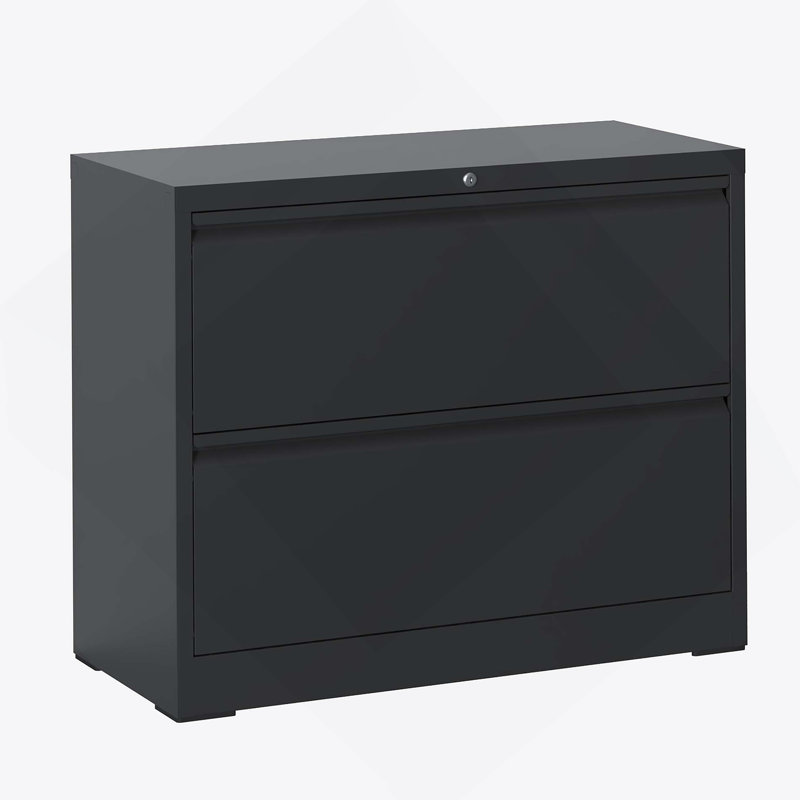 Classeur latéral à 2 tiroirs de haute qualité avec serrure pour la maison et le bureau, idéal pour organiser diverses tailles de documents