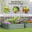 Elevated Planter