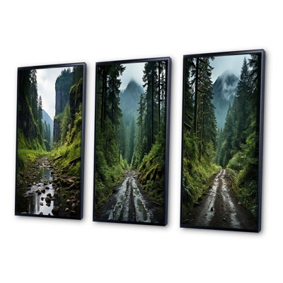 " USA Olympic National Park River " 3 - Pieces