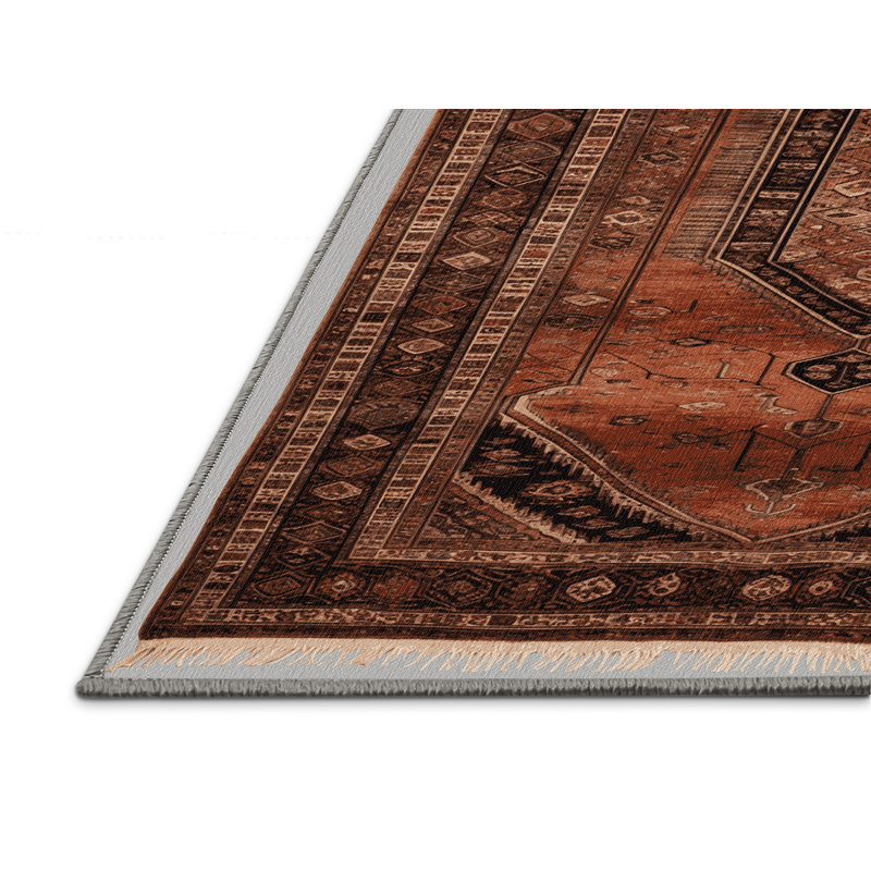 Tapis brun turc lavable à la machine, Tapis de couloir 2 pi x 4 pi