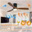 Ventilateur de plafond 52 pouces avec lumières et 3 pales en bois massif-75898749