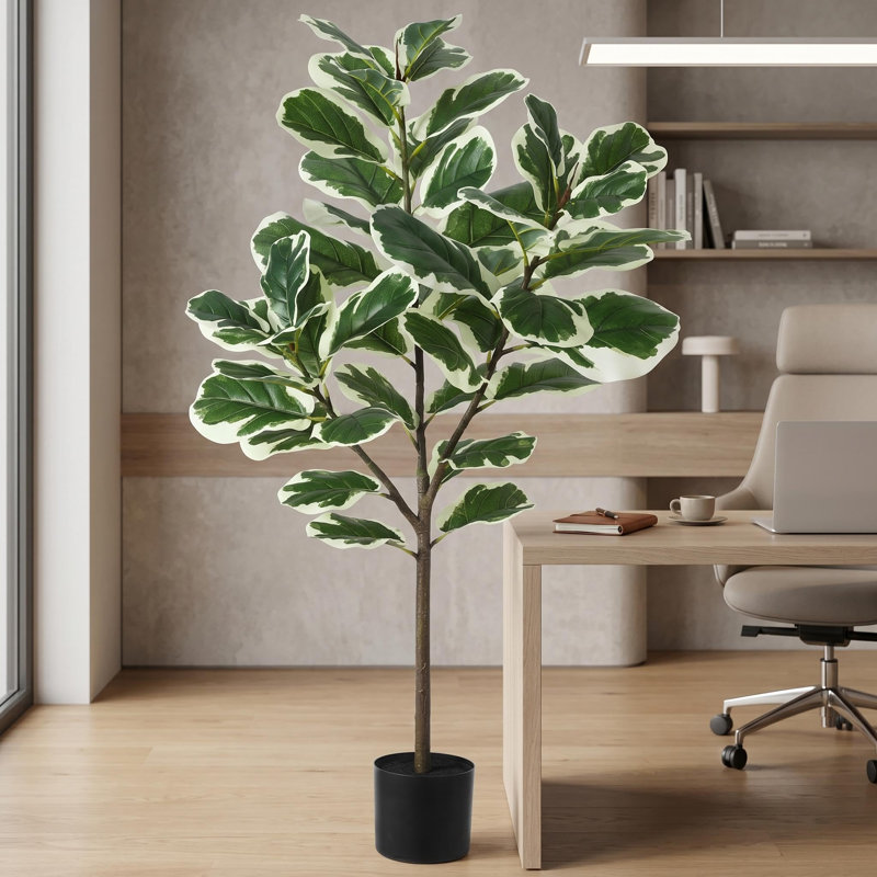 Arbre à figuier 51,6 po