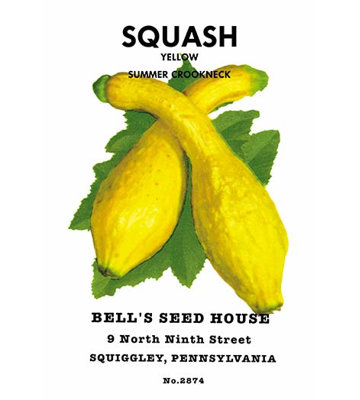 " Squash: Yellow Summer Crookneck "