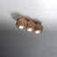 Aryaveer Flush Mount
