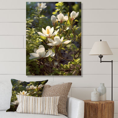" White Green Magnolias Nature Serenity "