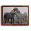 Affection - photographie avec cadre photo sur toile-2124300826-2124300829