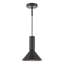 Ragnar 1LT PENDANT DUAL PURPOSE-118323879