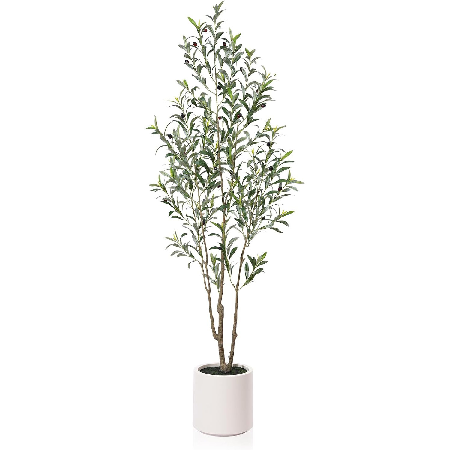 Olive Tree in Pot, 72"H x 10.6"W x 10.6"D