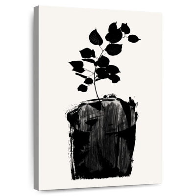 Noir Harnek Scabiosa